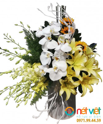 Ánh dương chiếu rọi