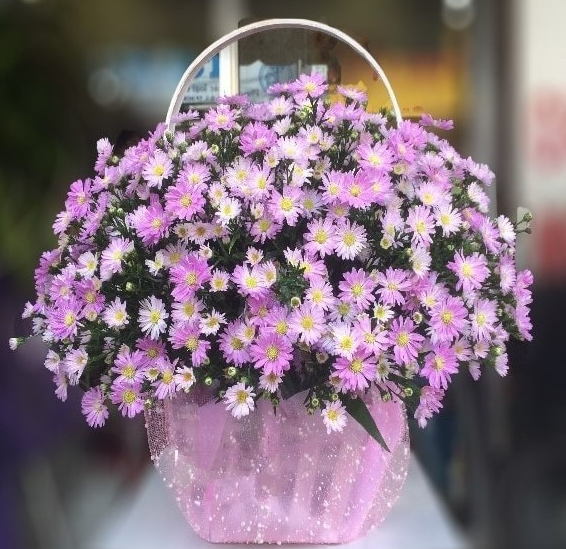 Hộp hoa thạch thảo tím tại Shop Hoa Tươi Nét Việt