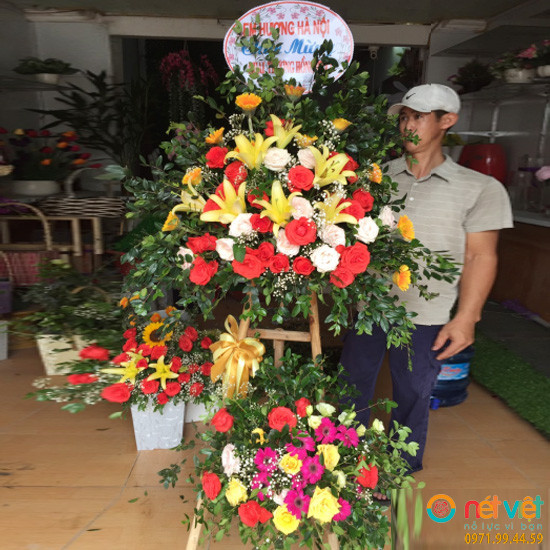 hình ảnh hoa chúc mừng ở Hải Dương
