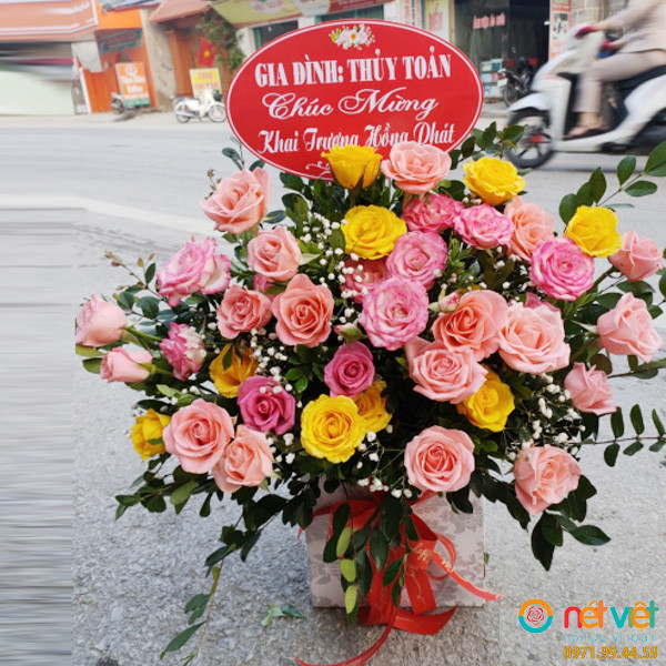 mẫu hoa giỏ đẹp ở Tp Sầm Sơn Thanh Hóa
