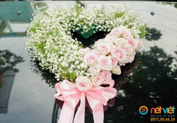 Baby hồng pastel
