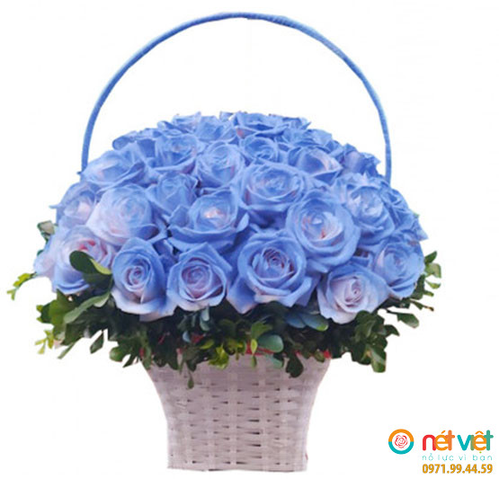 Giỏ hồng xanh phun màu