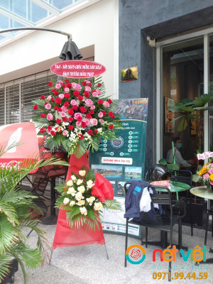 hinh-anh