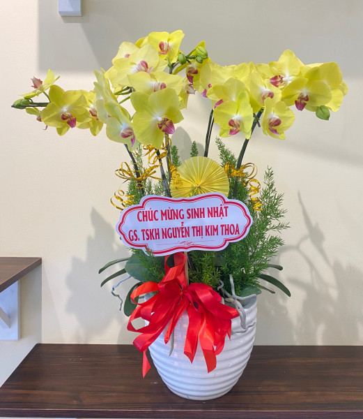 Chậu lan hồ điệp chúc mọi chuyện như ý, sức khỏe dồi dào, thành công viên mãn.