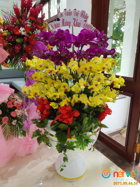 Hoa hồ điệp lộc phát ( 68 cành)