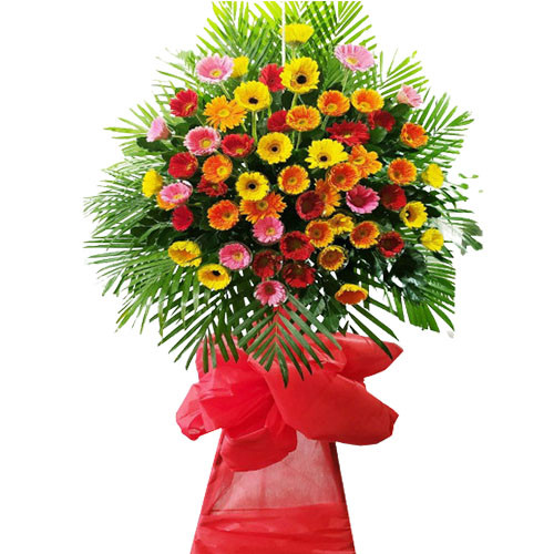 Không ngừng vươn xa