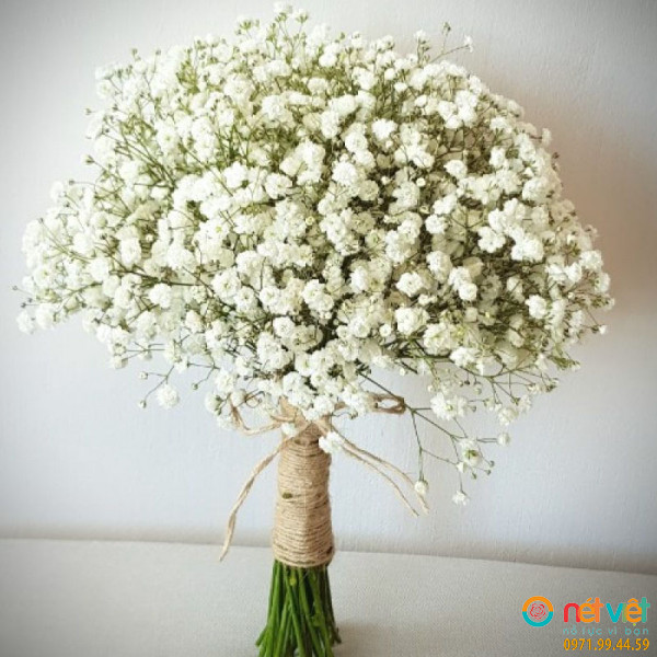 hoa cô dâu giá rẻ thiết kế hoa baby trắng tinh