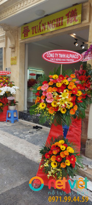 hinh-anh