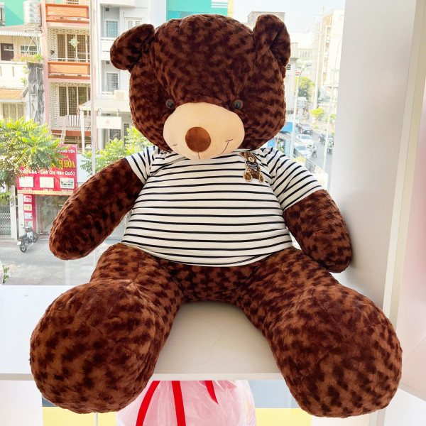 Gấu bông teddy nâu 1m6