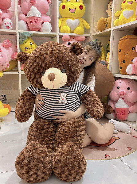 Gấu bông teddy 1m4 màu nâu socola