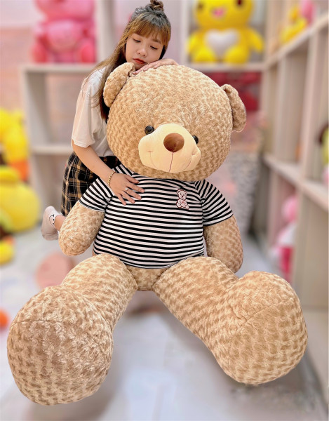 Gấu bông teddy cafe sữa size 140cm