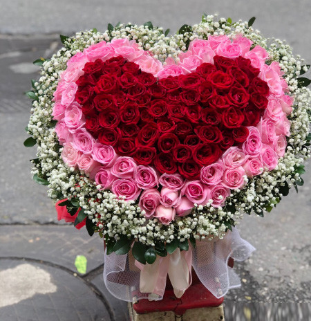 gio hoa mung khai truong ở An Lão hải phòng