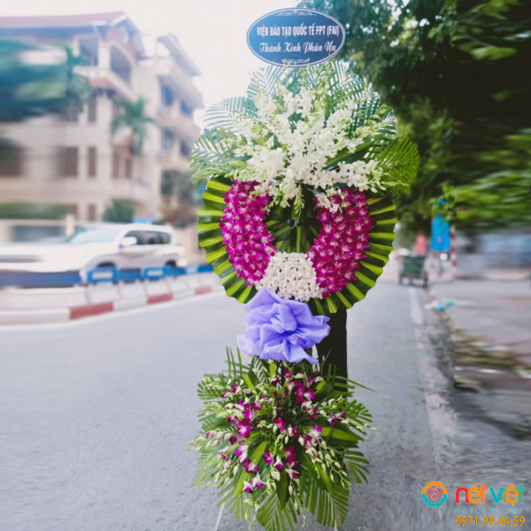 hoa dam tang ở Cầu Giấy Hà Nội