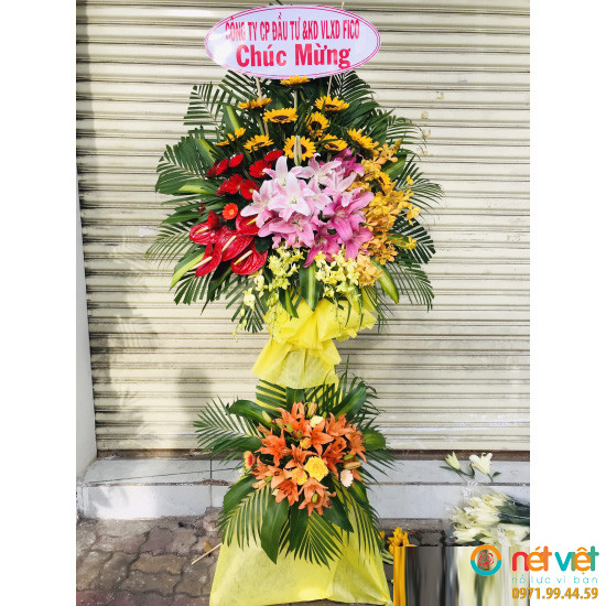 lẵng hoa chúc mừng giá rẻ ở Bà Rịa - Vũng Tàu