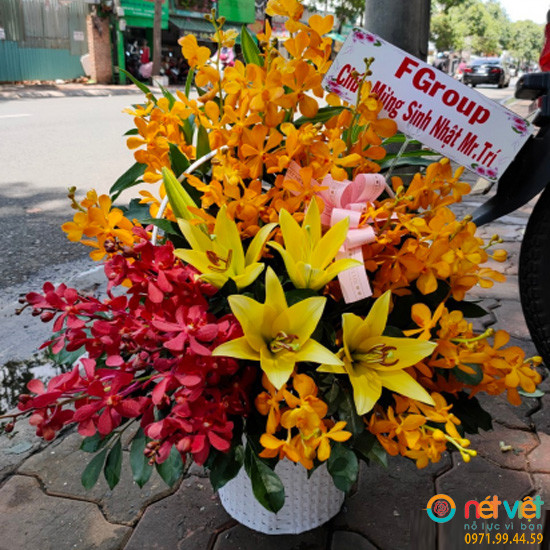 giỏ hoa khai trương để bàn ở Bà Rịa - Vũng Tàu