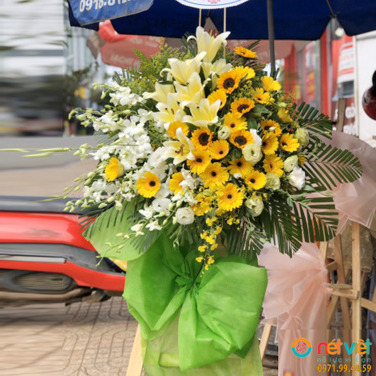 hoa mung khai truong ở Đắk Nông