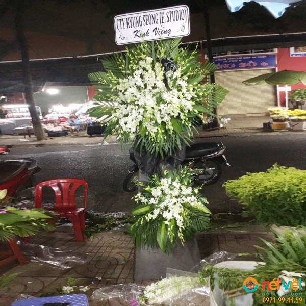 hoa đám ma ở Đắk Lắk