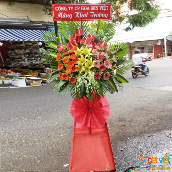 lãng hoa chúc mừng ngày 20 10 ở Đắk Lắk