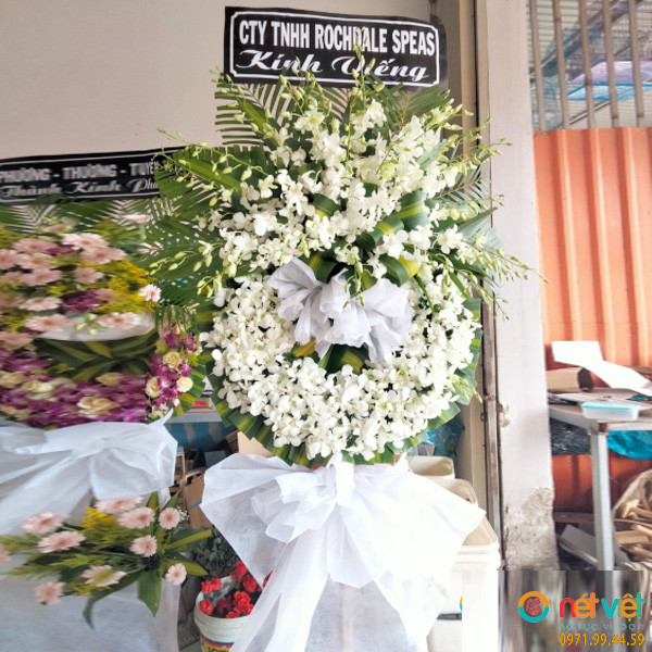 hoa viéng ở Đắk Nông