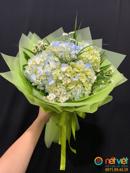 Hoa cẩm tú cầu