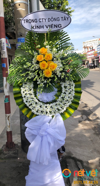 hinh-anh