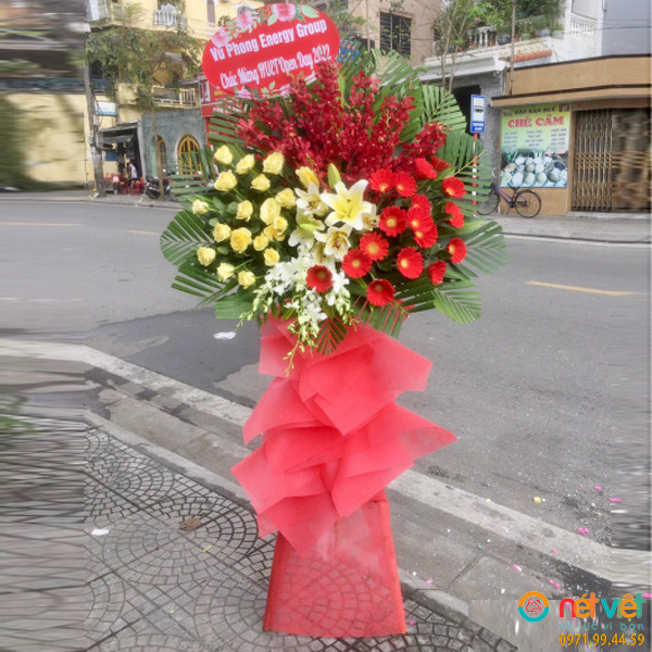 hoa khai truong gia re ở Thừa Thiên Huế