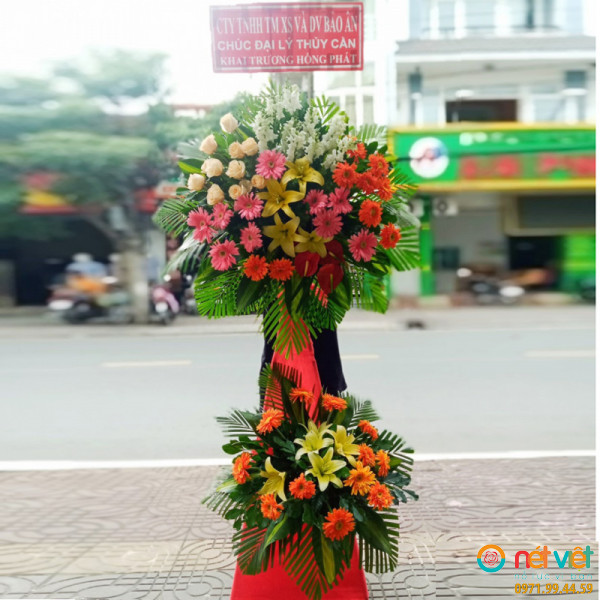 bong khai truong ở Trà Vinh