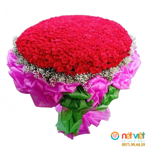 1000 bông hồng đỏ