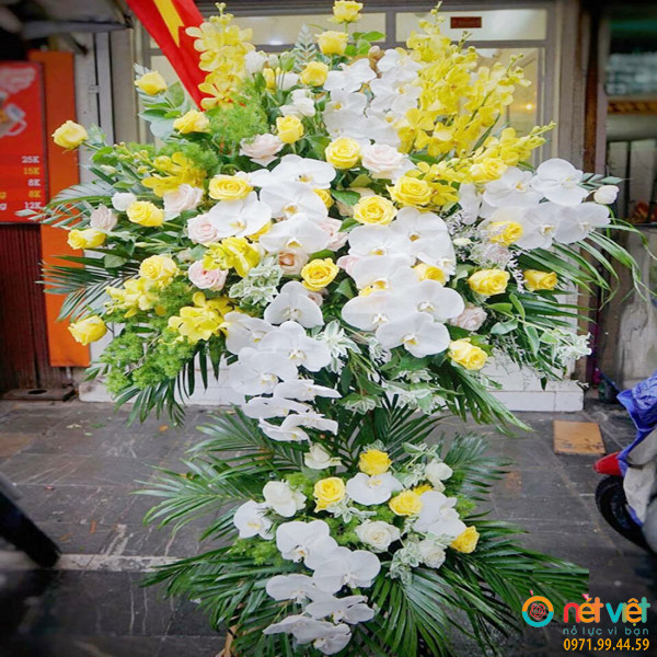 Hoa khai trương giá rẻ TPHCM