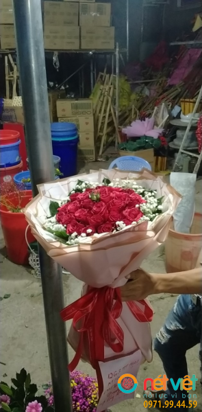 hinh-anh