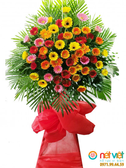 Hoa đồng tiền