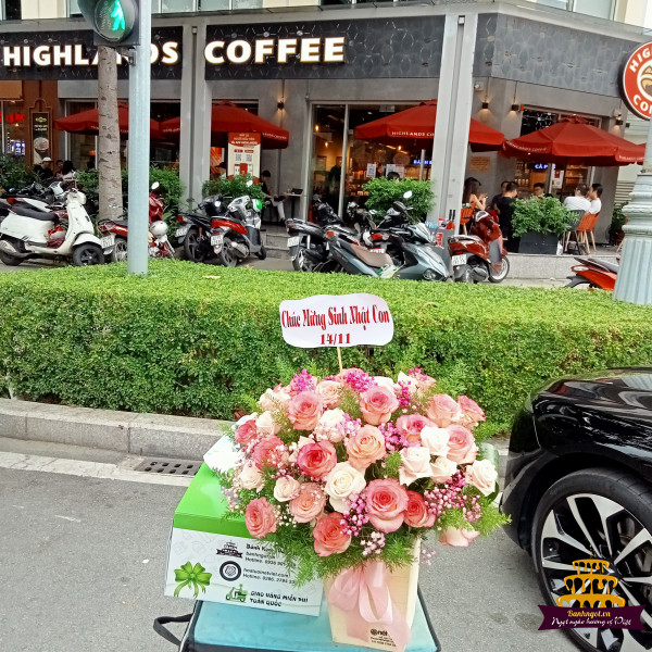 hinh-anh