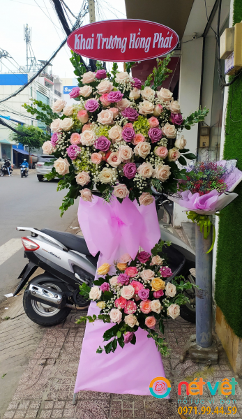 Kệ hoa tưng bừng hi vọng