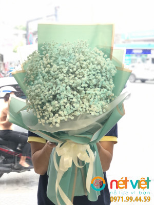 hinh-anh
