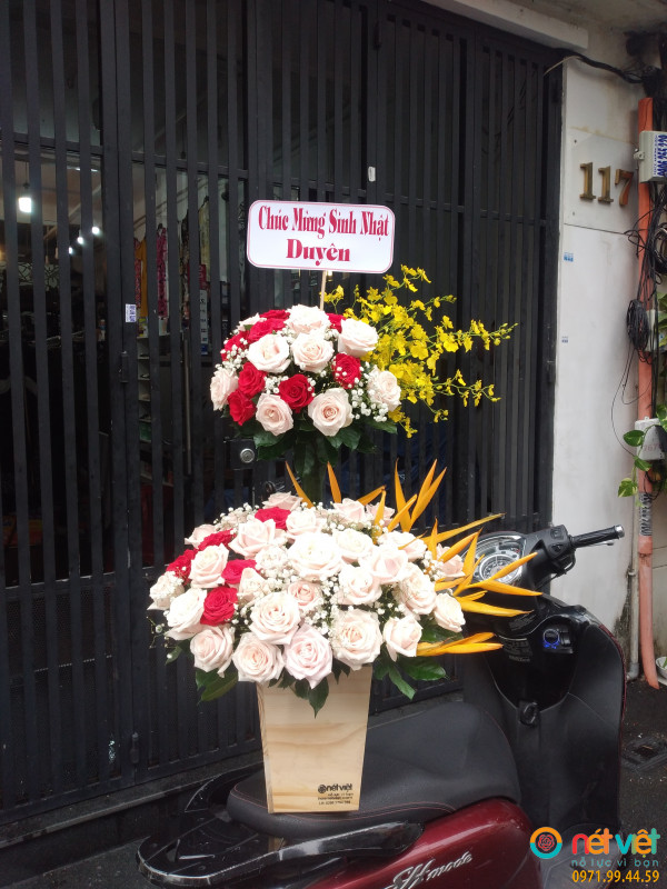 hinh-anh