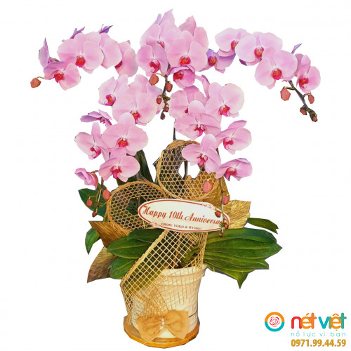 Càng thêm nồng ấm