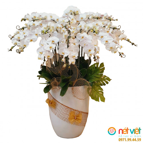 Trọn lộc tài (20 cành)
