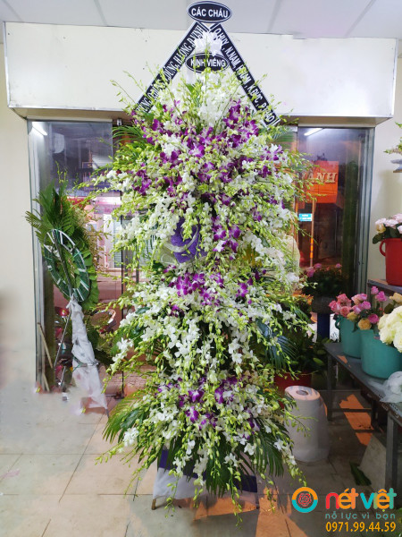 Kiếp nhân sinh