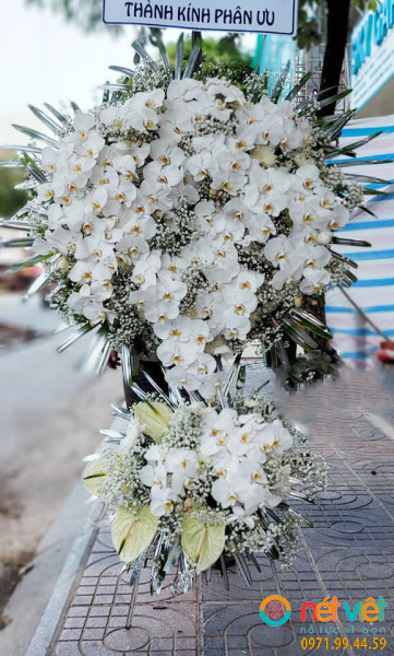 Lạc vào cõi mộng