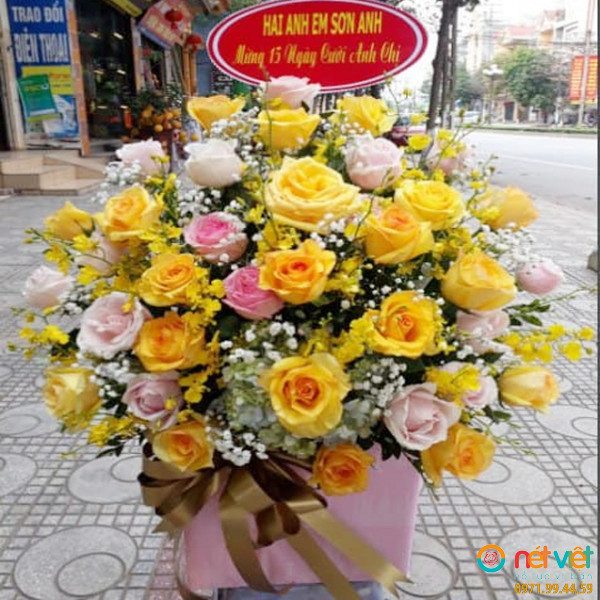 hoa phủ lý