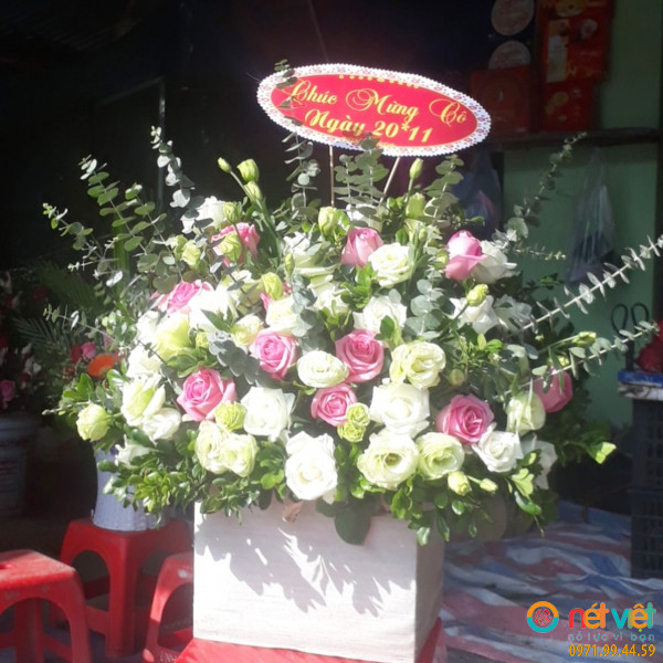 hoa hà nam