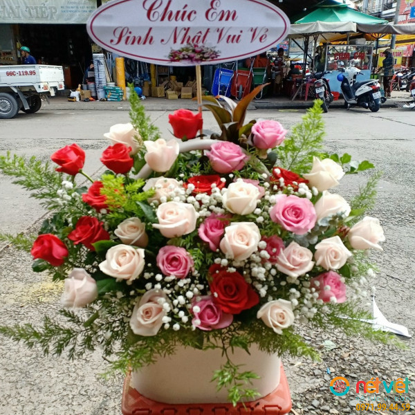 hoa ha nam