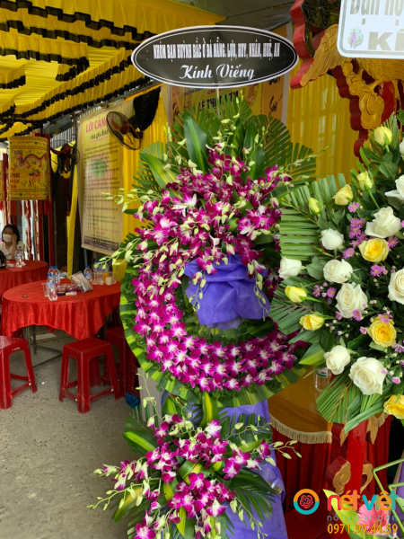 hinh-anh