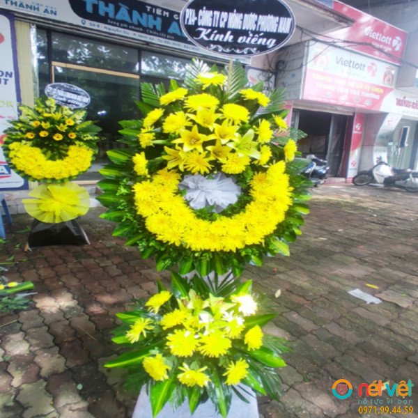 hoa tuoi bac ninh