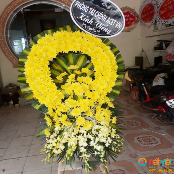 shop hoa tu son