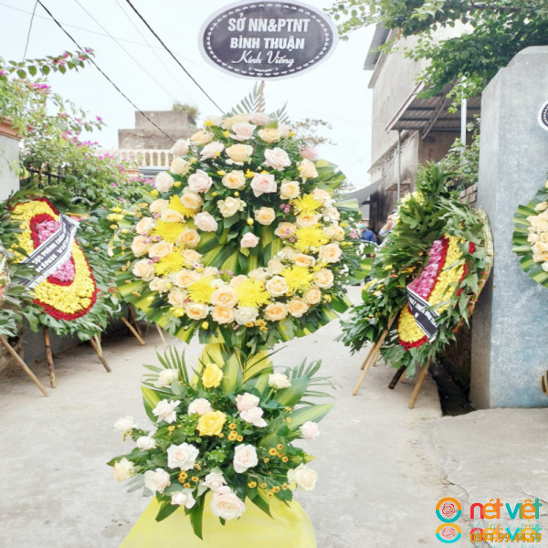 điện hoa từ sơn