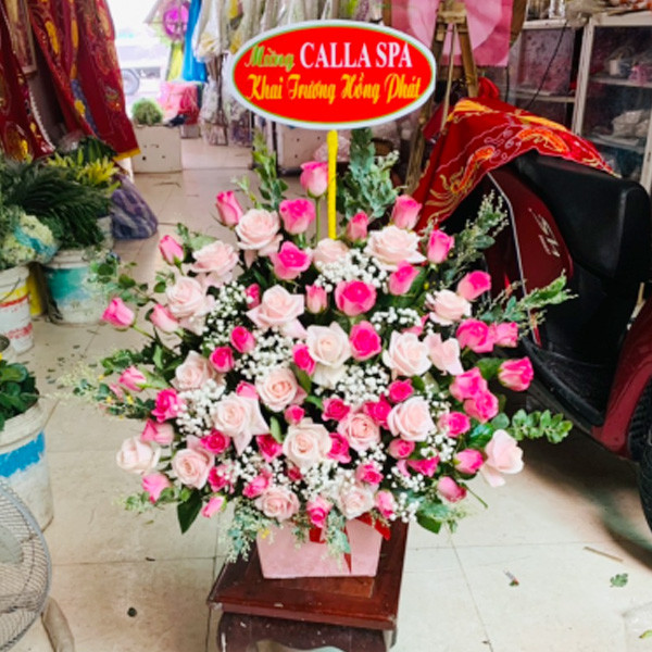 hoa ngày lễ tình nhân ở Tp Hội An Quảng Nam