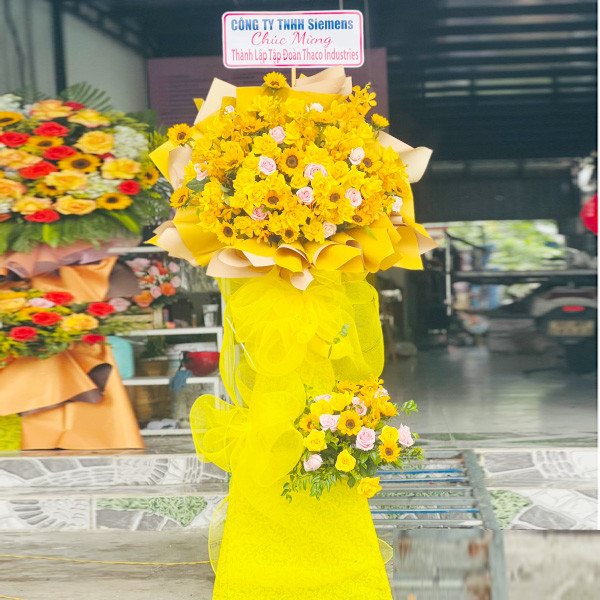 hoa 2 tầng đẹp ở Đông Giang Quảng Nam