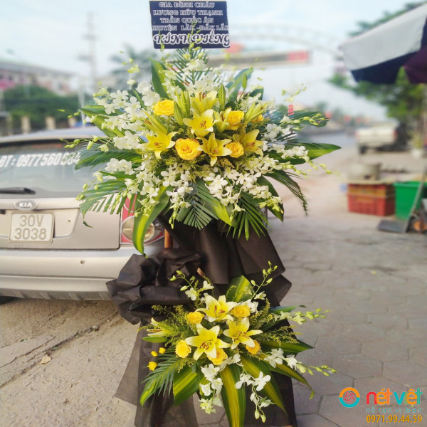 hoa dam tang nghe an