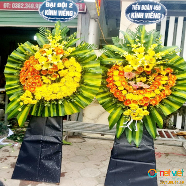 điện hoa nghệ an